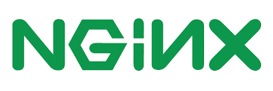 Nginx fails to start on Google Cloud with a 2nd NIC added 1 nginx