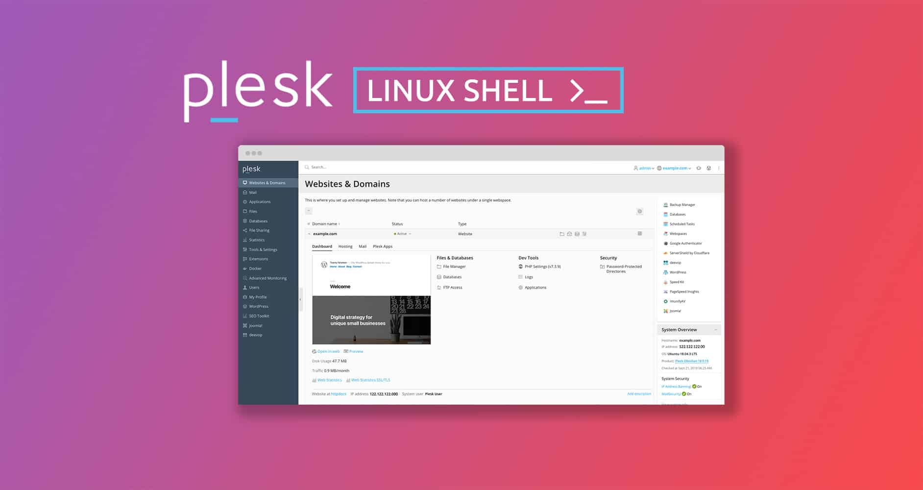 plesk-linux-shell