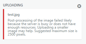 The server cannot process the image